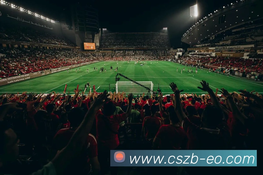 彩神争霸APP 高清赛事图